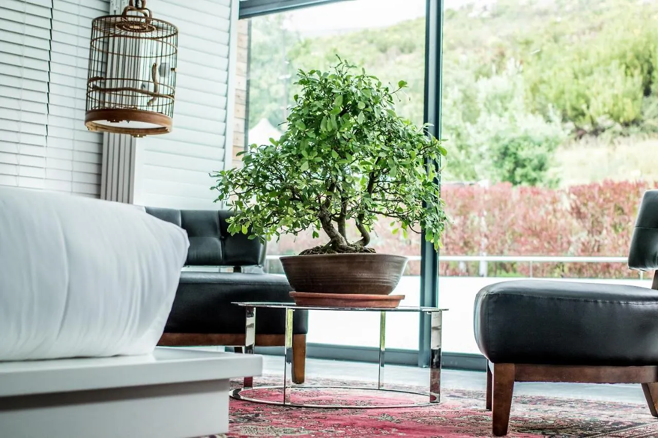 Mannabay Fine Boutique Hotel Cape Town